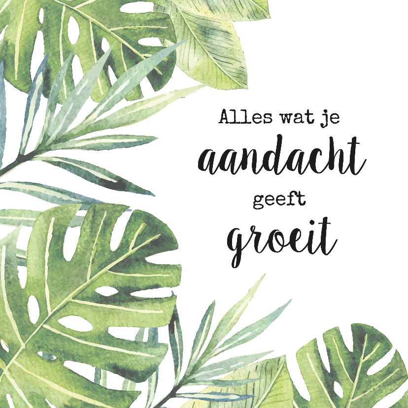 Wenskaarten - Wenskaart botanisch 'aandacht'.