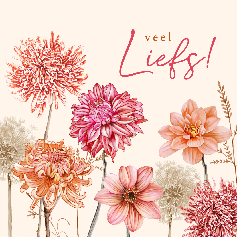 Wenskaarten - Wenskaart dahlia's in pastelkleuren