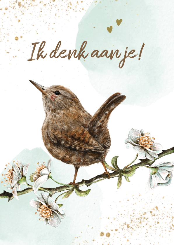 Wenskaart denk aan jou met vogeltje op bloesemtak - Wenskaarten Wenskaarten - Wenskaart denk aan jou met vogeltje op bloesemtak