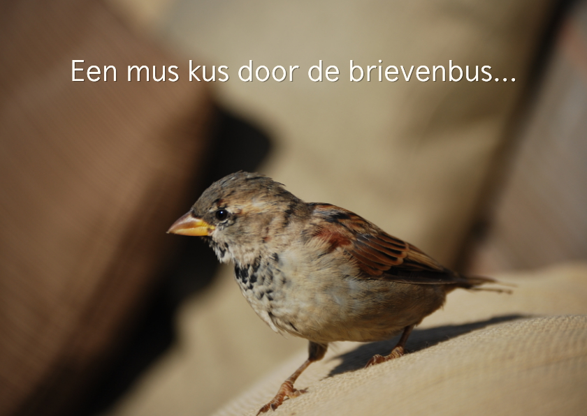 Wenskaarten - Wenskaart een mus kus door de brievenbus