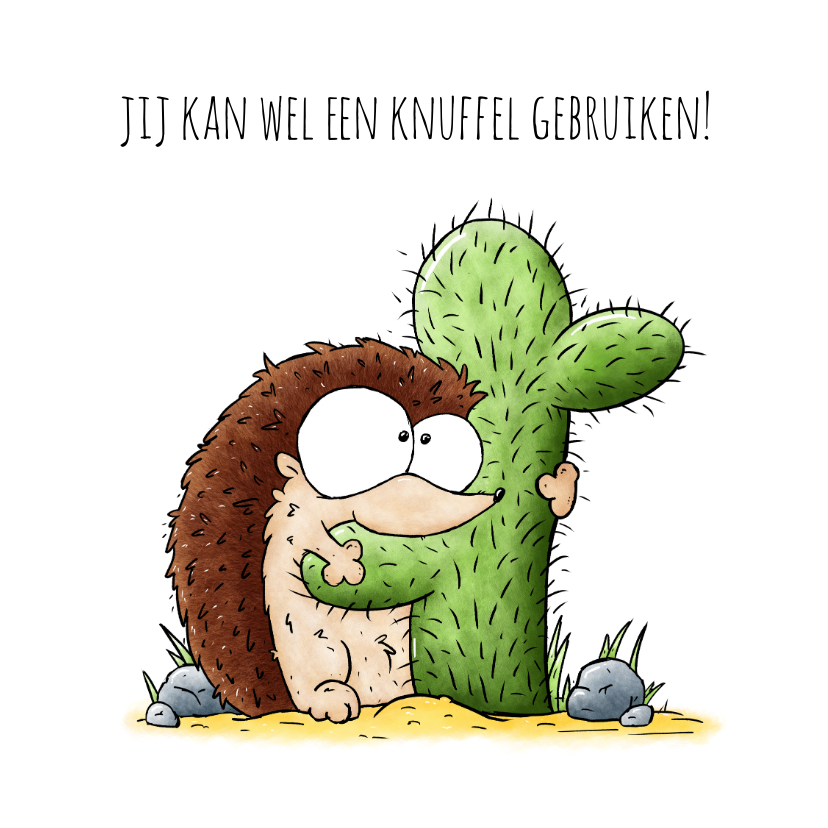 Wenskaart egel die een cactus knuffelt - Wenskaarten Wenskaarten - Wenskaart egel die een cactus knuffelt