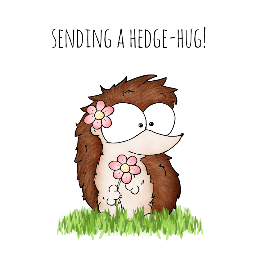 Wenskaarten - Wenskaart egeltje - Sending a Hedgehug