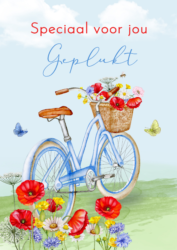 Wenskaarten - Wenskaart fiets met bloemen