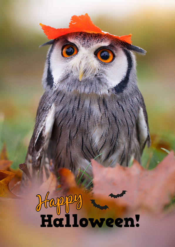 Wenskaart Happy Halloween uil - Wenskaarten Wenskaarten - Wenskaart Happy Halloween uil