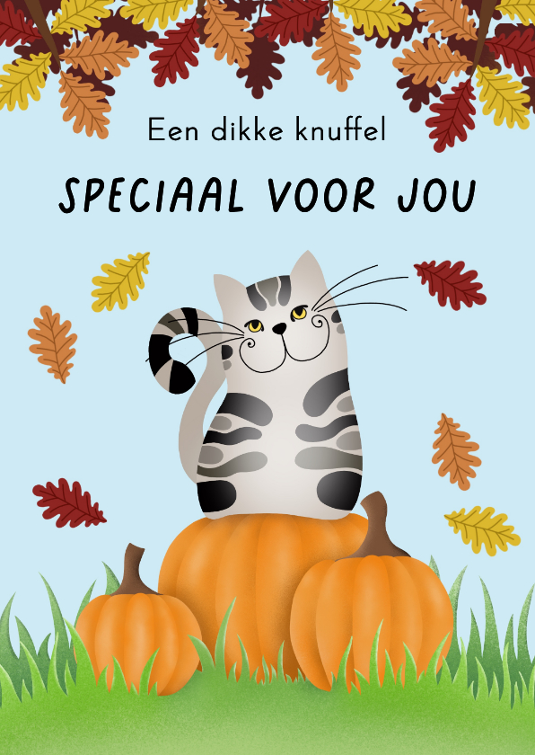 Wenskaarten - Wenskaart - Herfst Kat op pompoenen