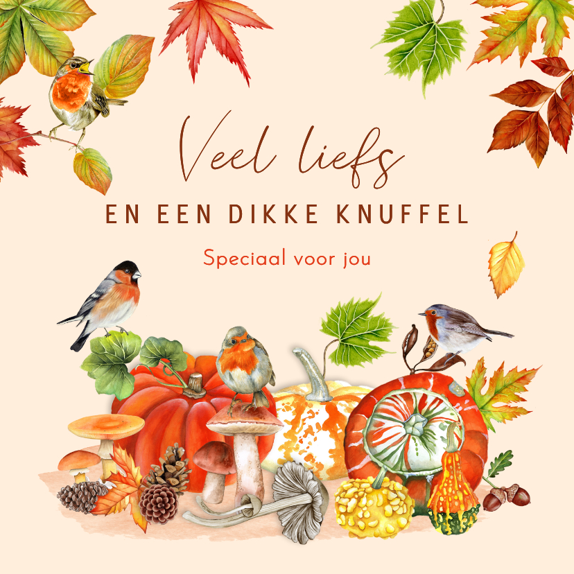 Wenskaart herfst met kalebassen pompoen en vogeltjes - Wenskaarten Wenskaarten - Wenskaart herfst met kalebassen pompoen en vogeltjes