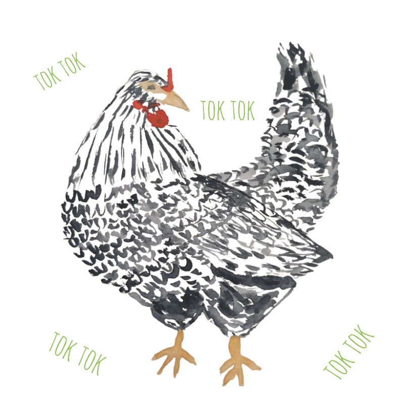 Wenskaart illustratie van een kip - Wenskaarten Wenskaarten - Wenskaart illustratie van een kip