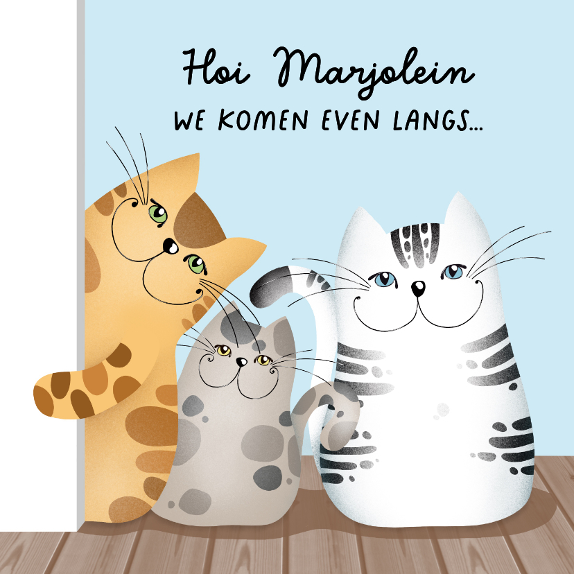 Wenskaarten - Wenskaart katten knuffels