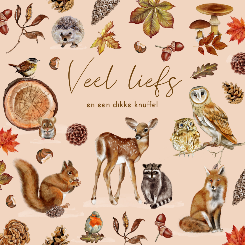 Wenskaart leuke bosdieren - Wenskaarten Wenskaarten - Wenskaart leuke bosdieren