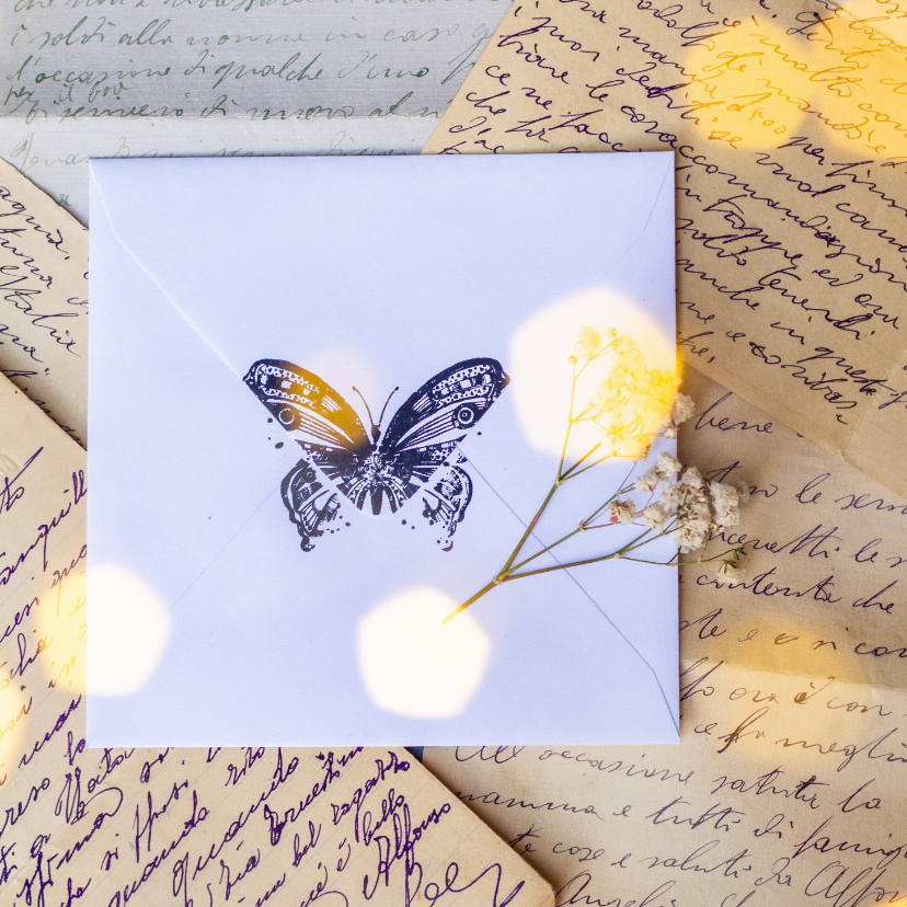 Wenskaarten - Wenskaart met envelop vlinder en bloem