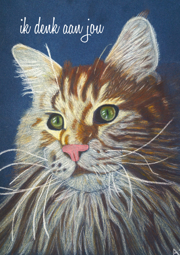 Wenskaart met getekende poes - Wenskaarten Wenskaarten - Wenskaart met getekende poes
