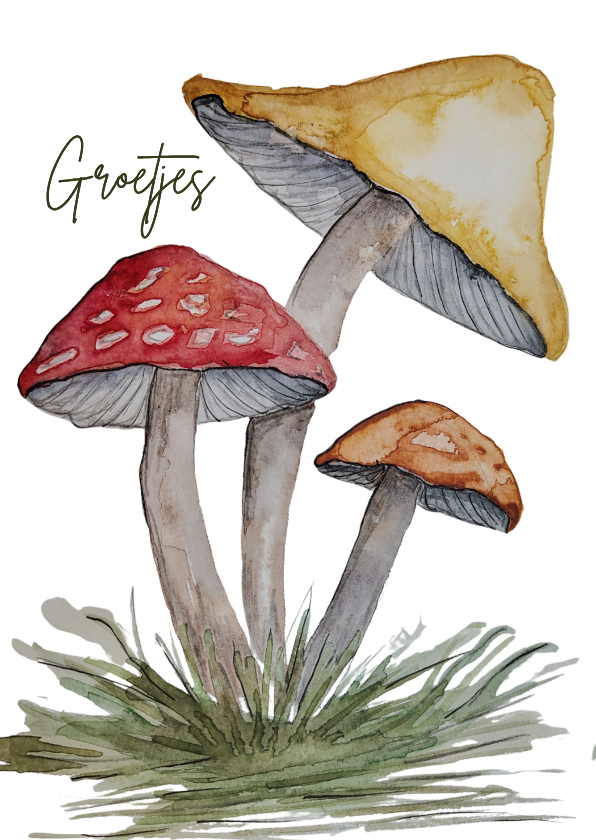 Wenskaart met paddestoelen groetjes - Wenskaarten Wenskaarten - Wenskaart met paddestoelen groetjes