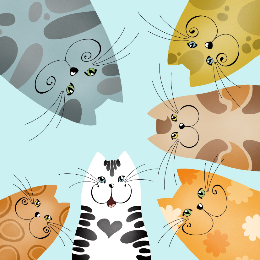 Wenskaarten - Wenskaart - Nieuwsgierige katten