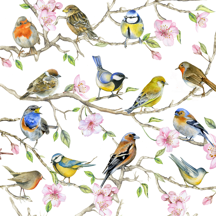 Wenskaarten - Wenskaart Opa en oma vogeltjes
