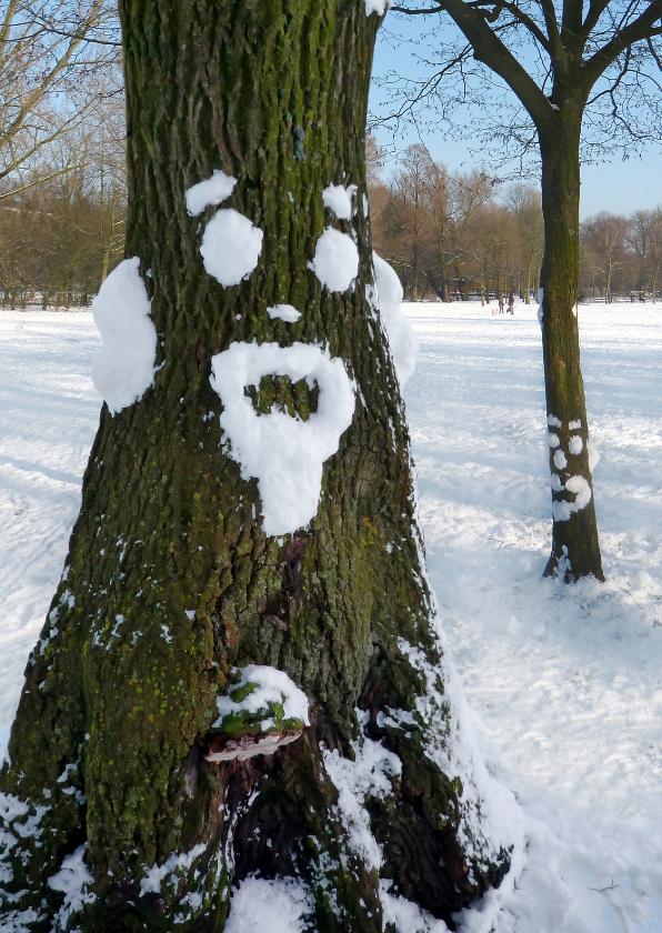 Wenskaarten - Wenskaart Sneeuwpret boom