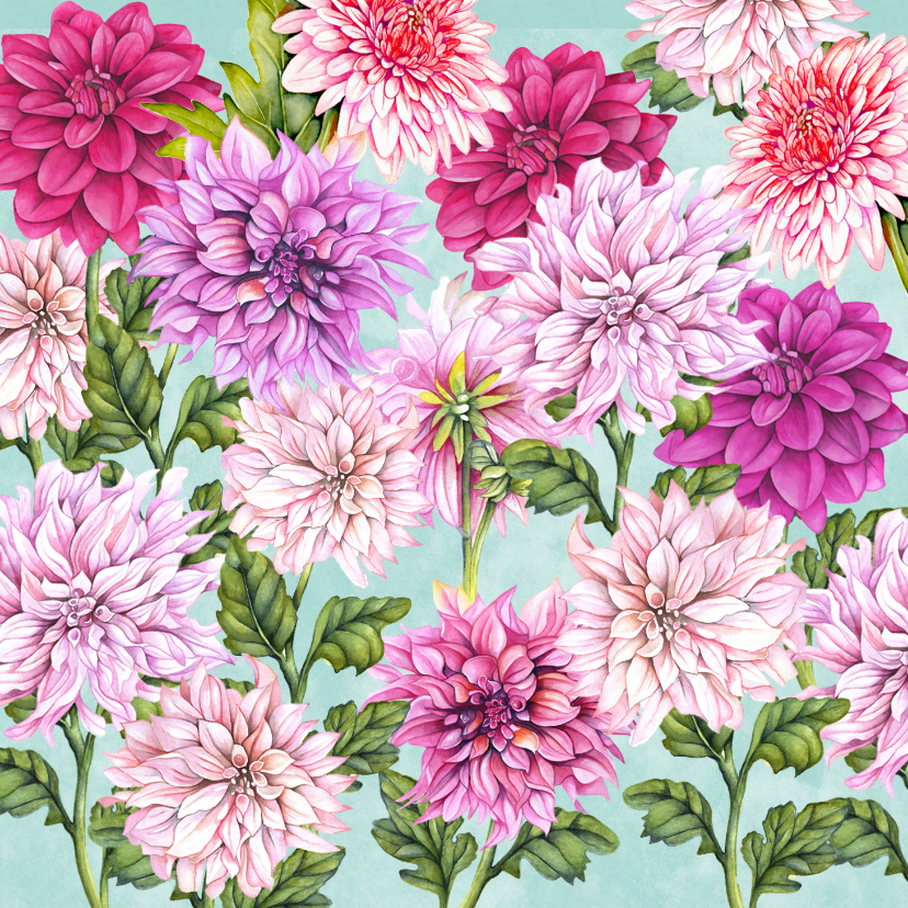 Wenskaarten - Wenskaart veel dahlia's