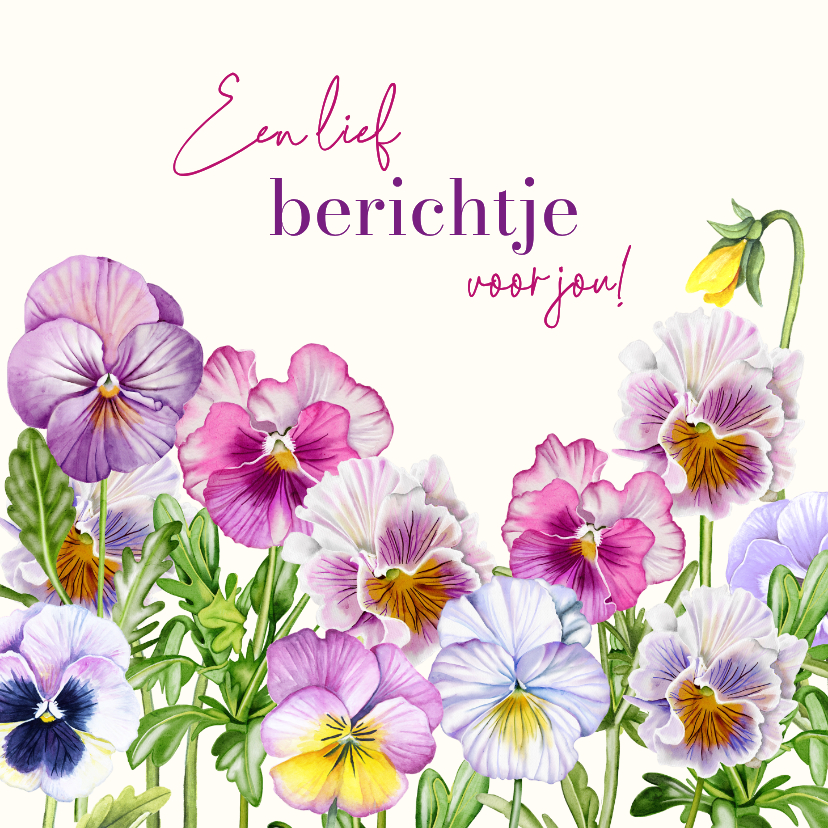 Wenskaarten - Wenskaart veel gekleurde viooltjes