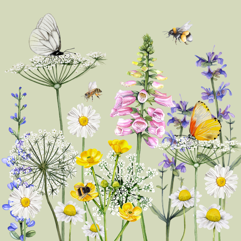 Wenskaarten - Wenskaart veldbloemen vlinder 