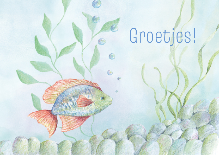 Wenskaart vis met waterplanten - Wenskaarten Wenskaarten - Wenskaart vis met waterplanten