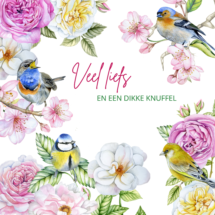 Wenskaarten - Wenskaart zomaar bloemen vogeltjes