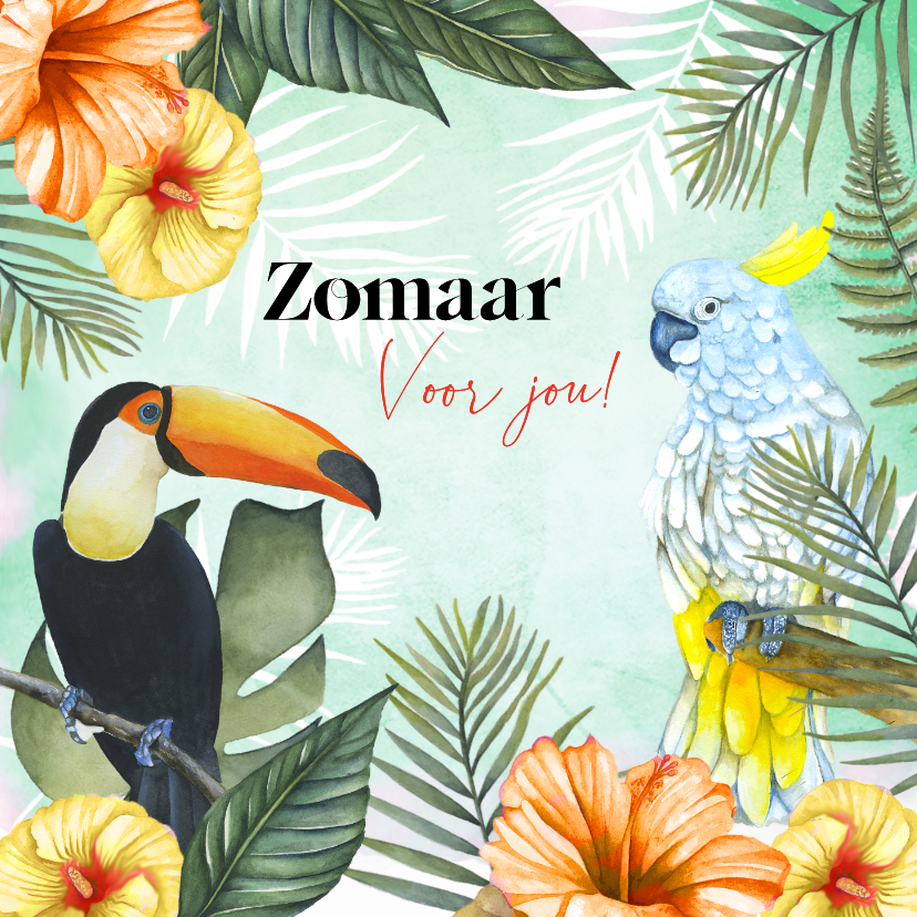 Wenskaarten - Wenskaart Zomaar tropische vogels