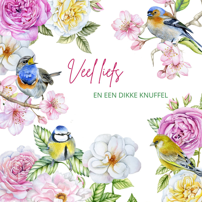 Wenskaarten - Zomaar bloemen vogeltjes