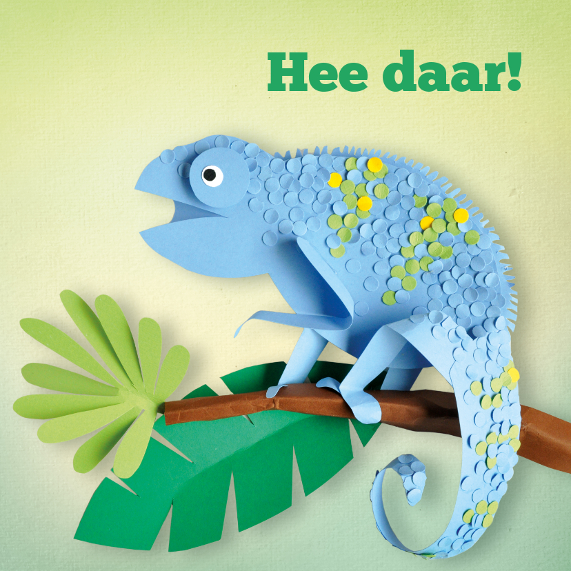 Zomaar Hee daar kameleon - Wenskaarten Wenskaarten - Zomaar Hee daar kameleon