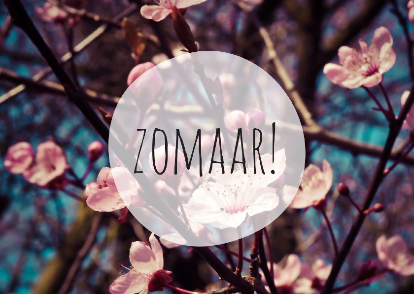Wenskaarten - Zomaar kaart bloesem