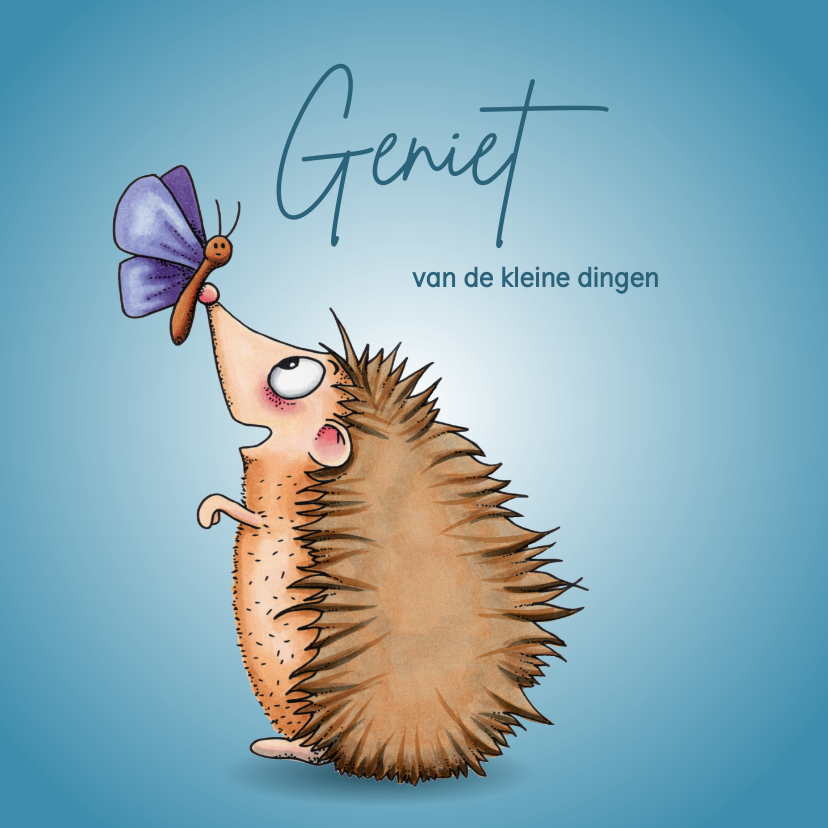 Wenskaarten - Zomaar kaart egel met vlinder op zijn neus