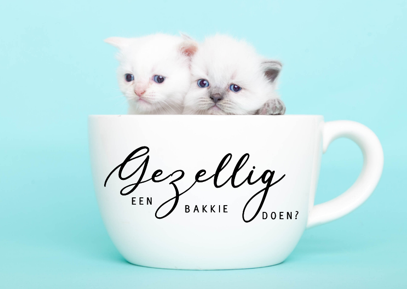 Zomaar kaart - Kittens - Gezellig een bakkie doen? - Wenskaarten Wenskaarten - Zomaar kaart - Kittens - Gezellig een bakkie doen?