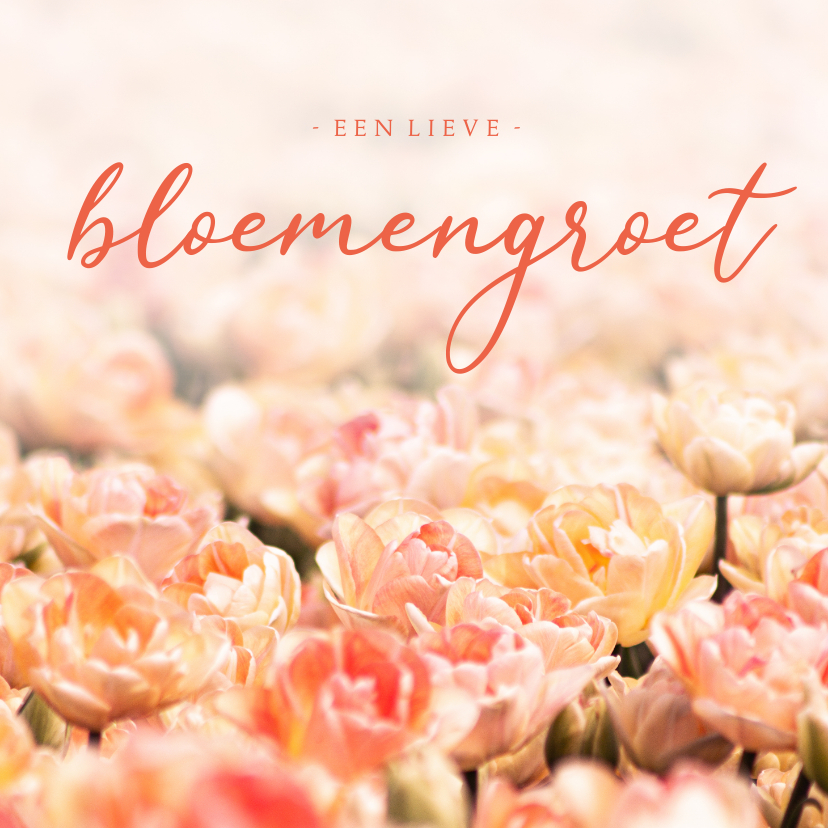 Zomaar kaart oranje tulpen lieve bloemengroet - Wenskaarten Wenskaarten - Zomaar kaart oranje tulpen lieve bloemengroet