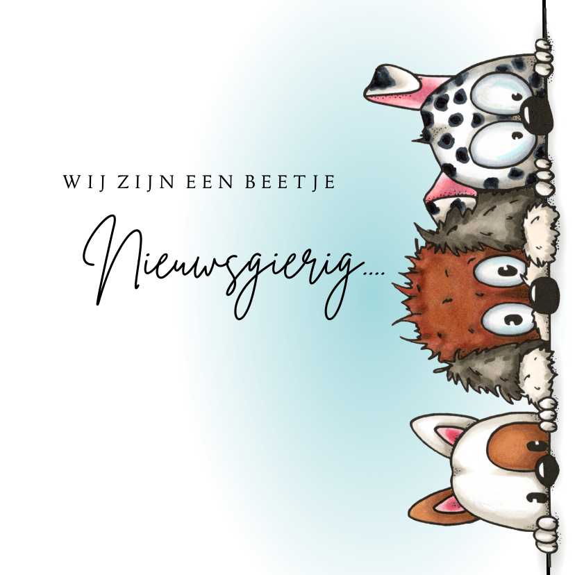 Wenskaarten - Zomaarkaart drie nieuwsgierige honden