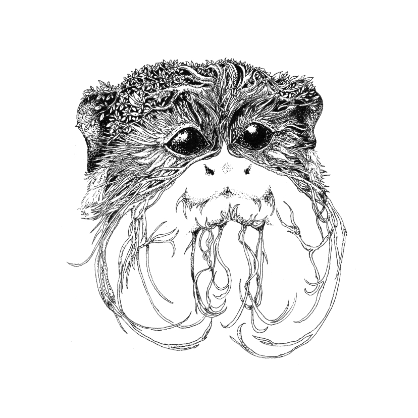 Keizer-tamarin aapje illustratie zwart-wit - Woonkaarten Woonkaarten - Keizer-tamarin aapje illustratie zwart-wit