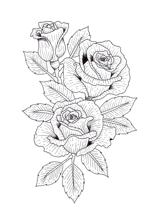 Rozen illustratie - Woonkaarten Woonkaarten - Rozen illustratie