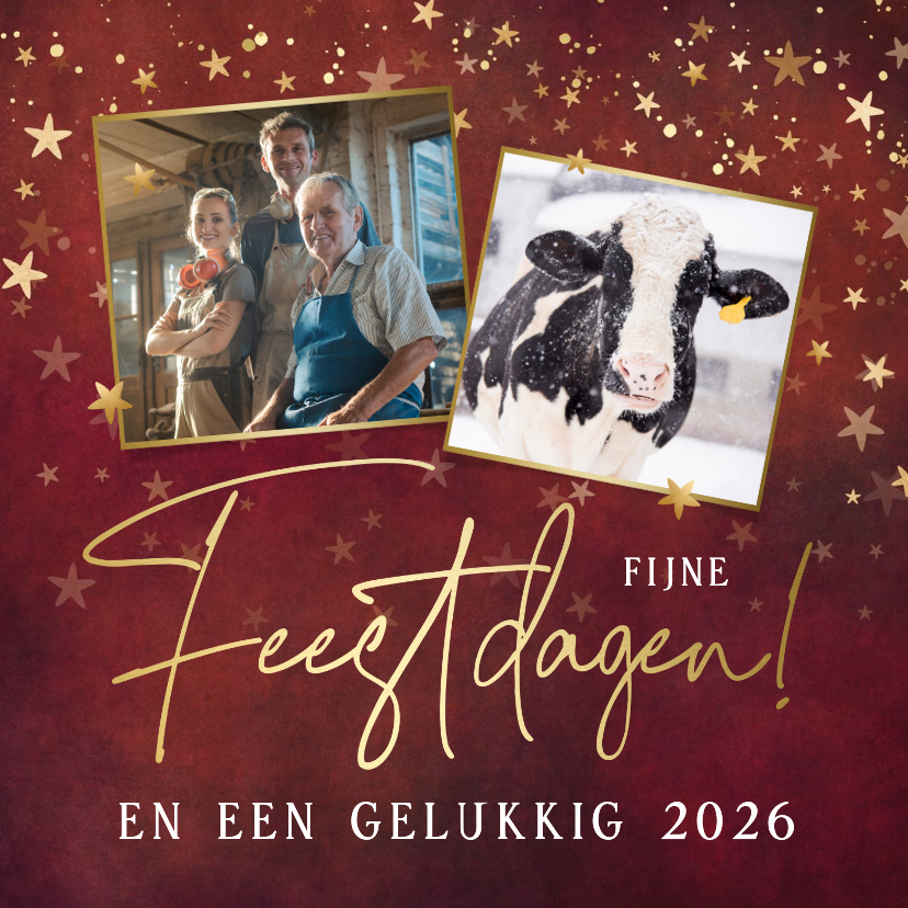 Zakelijke kerstkaarten - Klassieke rode zakelijke kerstkaart met sterren en foto's