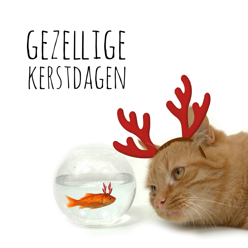 Zakelijke kerstkaarten - Zakelijke kerstkaart goudvis en kat