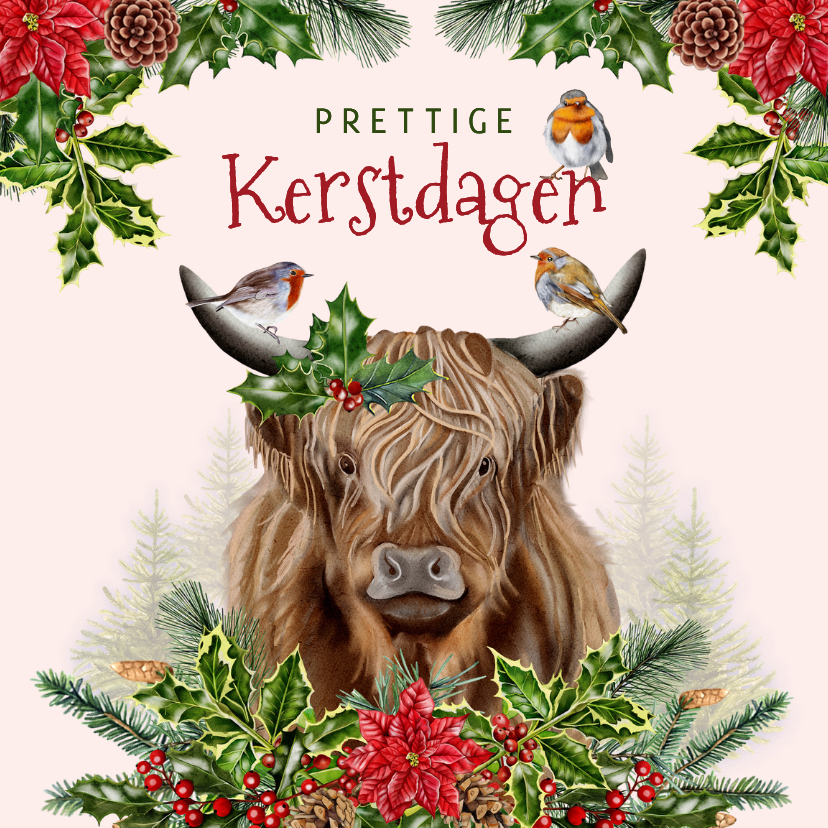 Zakelijke kerstkaart schotse hooglander roodborstjes - Zakelijke kerstkaarten Zakelijke kerstkaarten - Zakelijke kerstkaart schotse hooglander roodborstjes