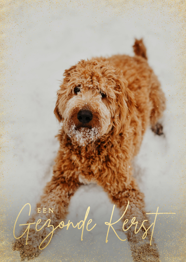 Zakelijke kerstkaarten - Zakelijke kerstkaart stijlvol grote foto hond gezonde kerst