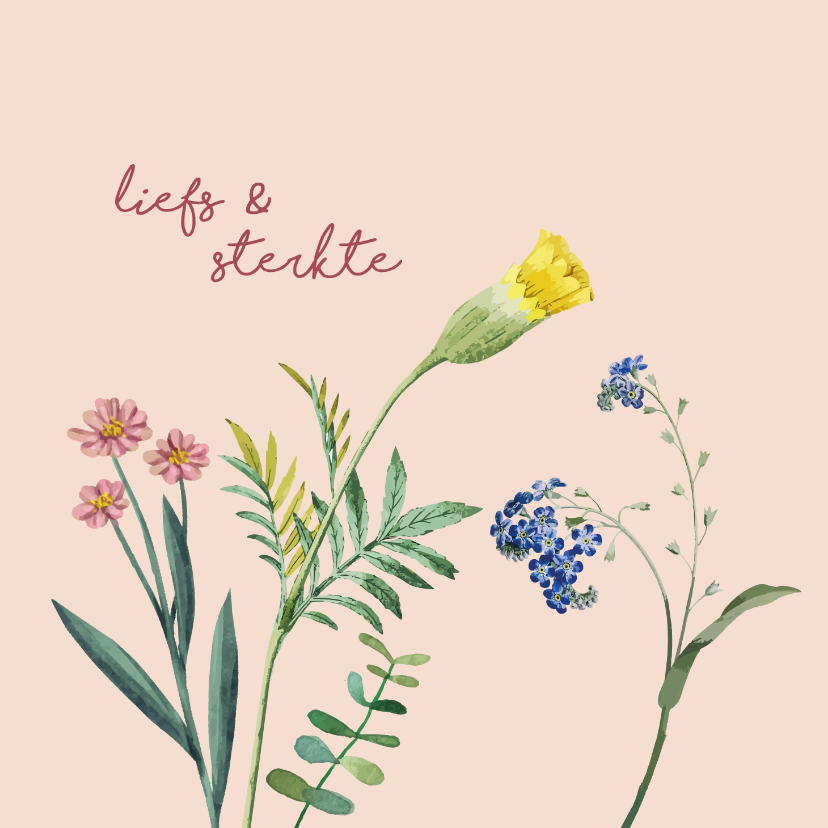 Liefs en sterkte - bloemen - zomaar kaart - Zomaar kaarten Zomaar kaarten - Liefs en sterkte - bloemen - zomaar kaart
