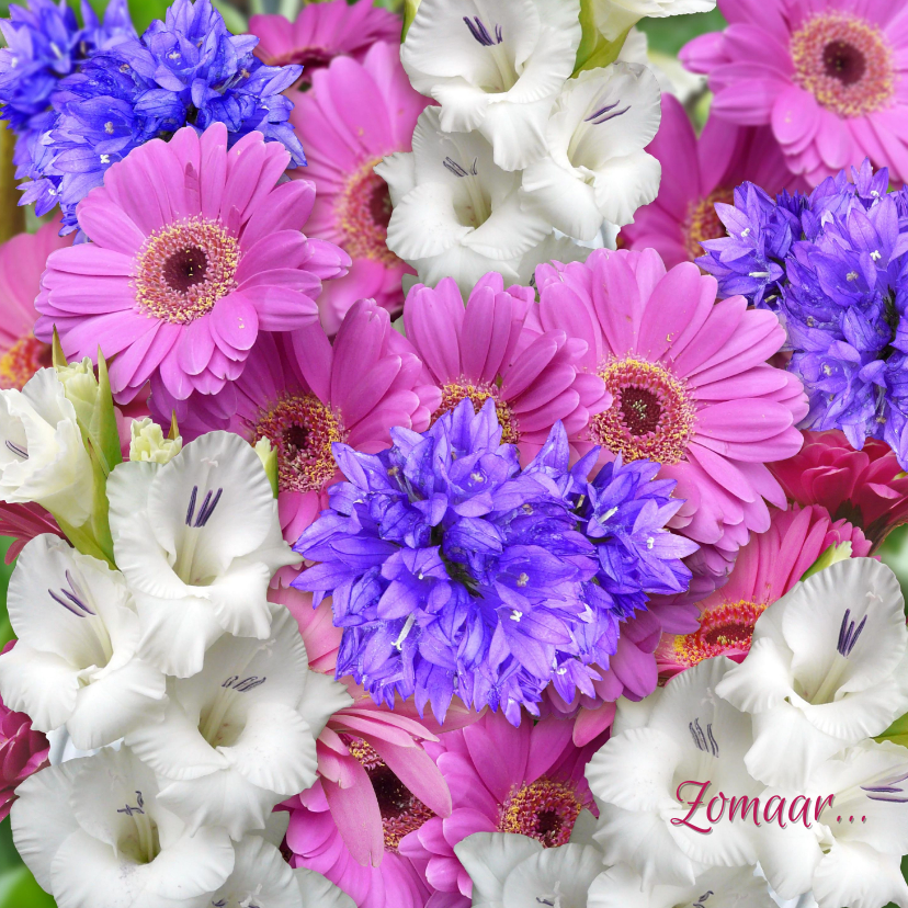 Mooie zomaar kaart met witte gladiolen en andere bloemen - Zomaar kaarten Zomaar kaarten - Mooie zomaar kaart met witte gladiolen en andere bloemen