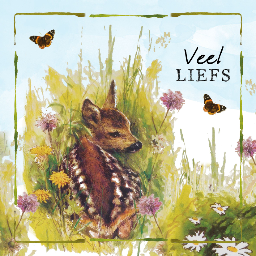 Veel liefs kaart met klein hertje in het gras - Zomaar kaarten Zomaar kaarten - Veel liefs kaart met klein hertje in het gras