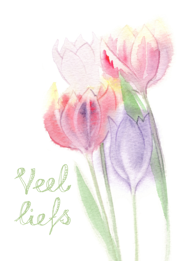 Veel liefs zomaar kaart met tulpen - Zomaar kaarten Zomaar kaarten - Veel liefs zomaar kaart met tulpen