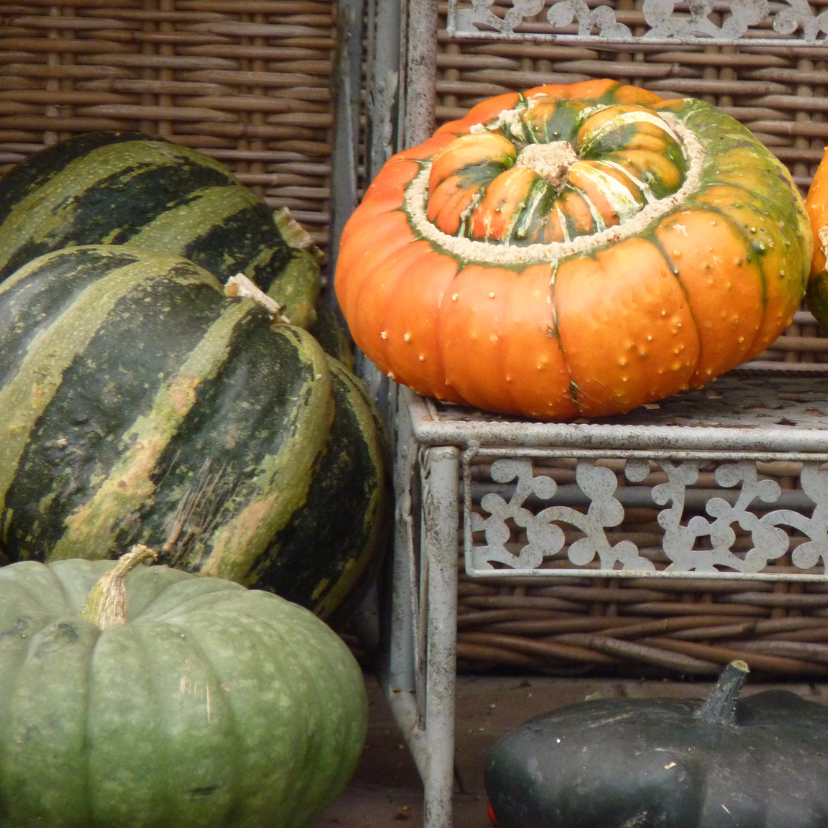 Wenskaart Herfst pompoentje - Zomaar kaarten Zomaar kaarten - Wenskaart Herfst pompoentje