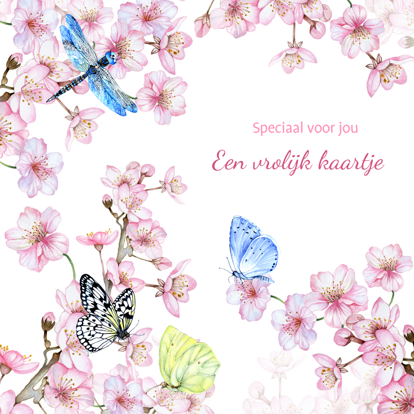 Zomaar kaarten - Zomaar bloesemtak vlinders