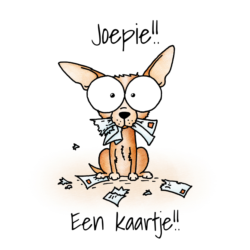 Zomaar kaart - Chihuahua met verscheurde brieven - Zomaar kaarten Zomaar kaarten - Zomaar kaart - Chihuahua met verscheurde brieven