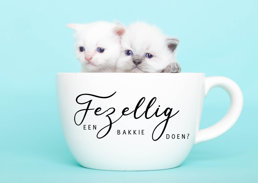 Zomaar kaart - Kittens - Gezellig een bakkie doen? - Zomaar kaarten Zomaar kaarten - Zomaar kaart - Kittens - Gezellig een bakkie doen?