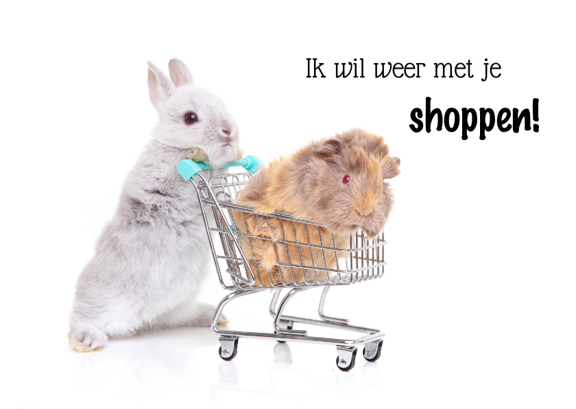 Zomaar kaart konijn en cavia in winkelwagen - Zomaar kaarten Zomaar kaarten - Zomaar kaart konijn en cavia in winkelwagen