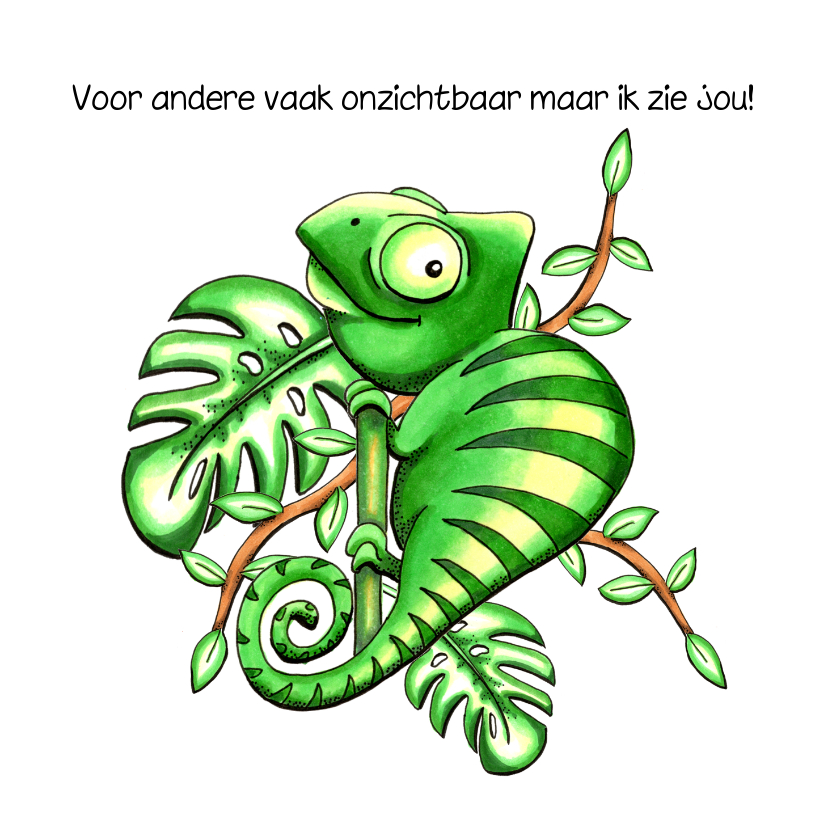 Zomaar kaarten kameleon ik zie jou - Zomaar kaarten Zomaar kaarten - Zomaar kaarten kameleon ik zie jou