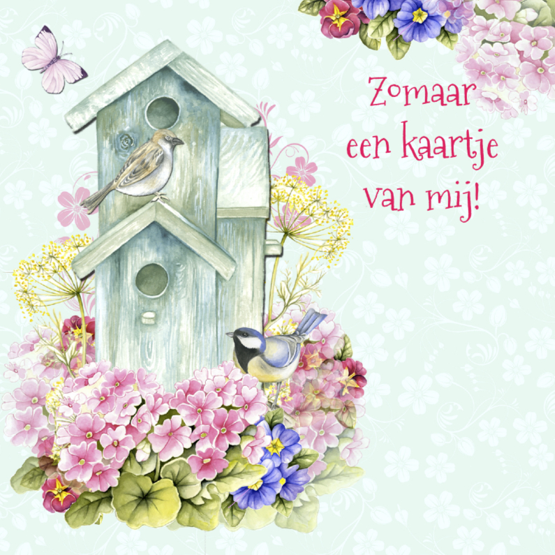 zomaar vogelhuisje vogels - Zomaar kaarten Zomaar kaarten - zomaar vogelhuisje vogels