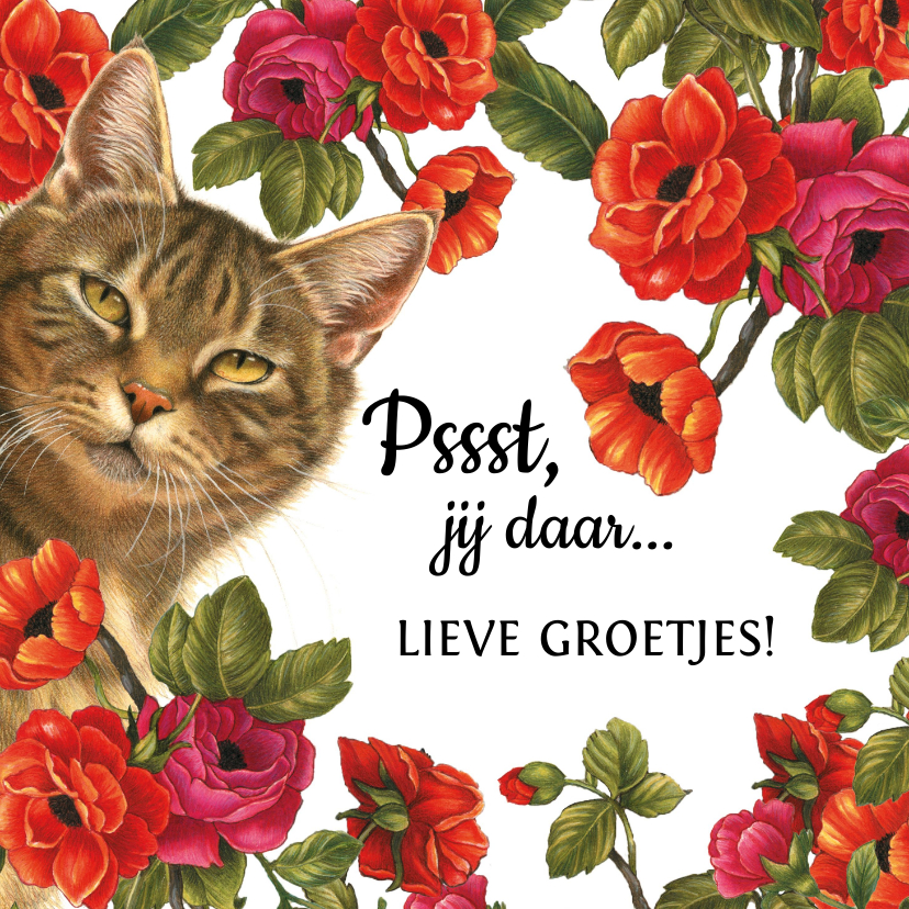 Zomaarkaart Pssst jij daar lieve groetjes bloemen en katten - Zomaar kaarten Zomaar kaarten - Zomaarkaart Pssst jij daar lieve groetjes bloemen en katten